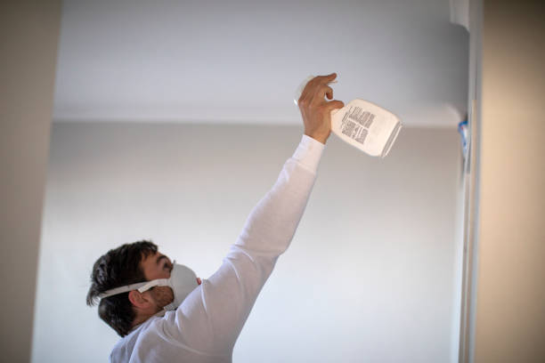 Best Post-Remediation Services in South Lockport, NY
