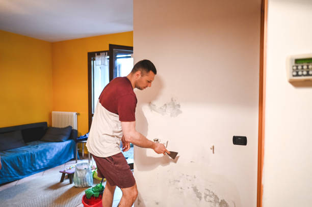 Best Kitchen Mold Remediation in South Lockport, NY